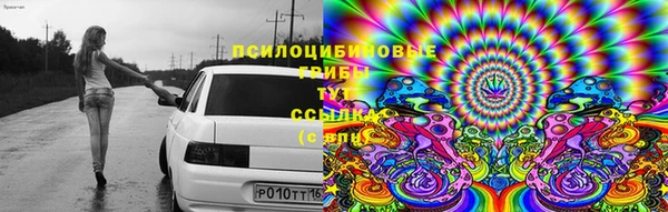 ешки Баксан