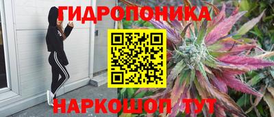 не бодяженный Новодвинск