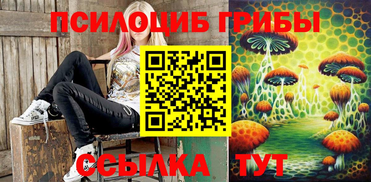 Галлюциногенные грибы Psilocybine cubensis  Вход с VPN  Галлюциногенные грибы прущие грибы  Белогорск 